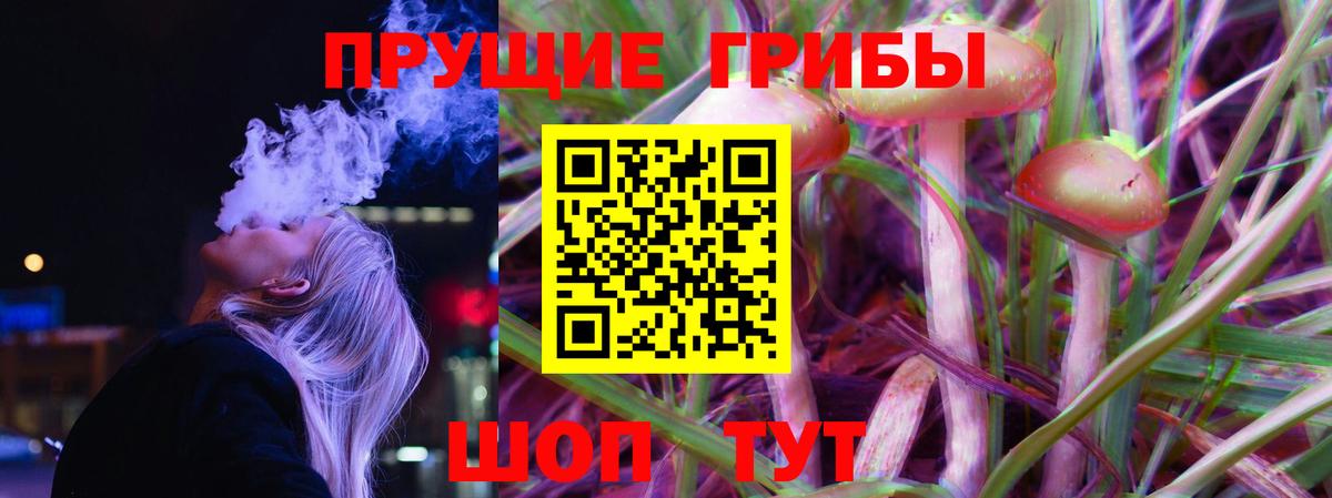 ГАШИШ Губаха